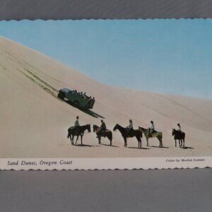 Vintage Postcard - Sand Dunes Oregon Horses and Jepp - Smith Western